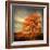 Orange Season-Philippe Sainte-Laudy-Framed Photographic Print