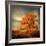 Orange Season-Philippe Sainte-Laudy-Framed Photographic Print