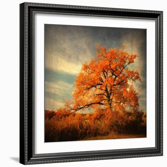Orange Season-Philippe Sainte-Laudy-Framed Photographic Print
