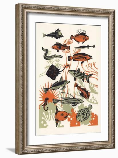 Orange Seaweed Fish, 2015-Eliza Southwood-Framed Giclee Print