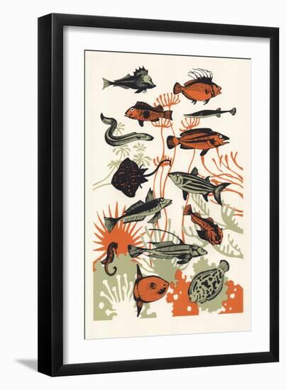 Orange Seaweed Fish, 2015-Eliza Southwood-Framed Giclee Print