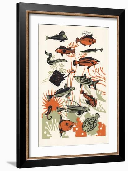 Orange Seaweed Fish, 2015-Eliza Southwood-Framed Giclee Print