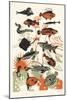 Orange Seaweed Fish, 2015-Eliza Southwood-Mounted Giclee Print