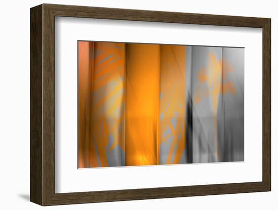 Orange Shades-Andrew Michaels-Framed Photographic Print