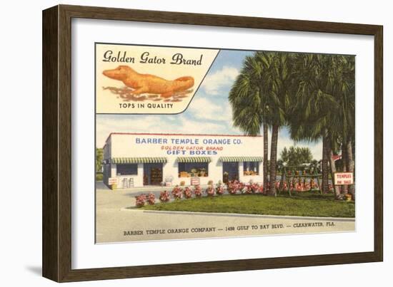 Orange Shop, Clearwater, Florida-null-Framed Premium Giclee Print