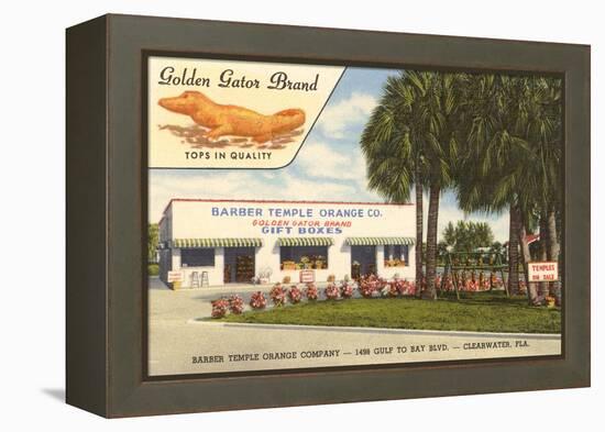 Orange Shop, Clearwater, Florida-null-Framed Stretched Canvas