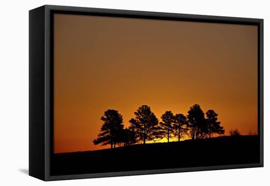 Orange Sky at Dawn, Custer State Park, South Dakota, United States of America, North America-James Hager-Framed Premier Image Canvas