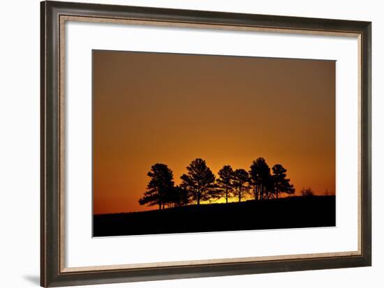 Orange Sky at Dawn, Custer State Park, South Dakota, United States of America, North America-James Hager-Framed Photographic Print