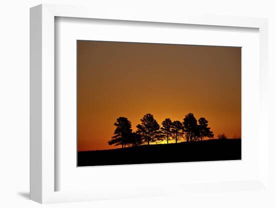 Orange Sky at Dawn, Custer State Park, South Dakota, United States of America, North America-James Hager-Framed Photographic Print