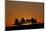 Orange Sky at Dawn, Custer State Park, South Dakota, United States of America, North America-James Hager-Mounted Photographic Print
