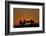 Orange Sky at Dawn, Custer State Park, South Dakota, United States of America, North America-James Hager-Framed Photographic Print