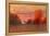 Orange Sky-Carol Strock Wasson-Framed Stretched Canvas