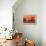 Orange Sky-Carol Strock Wasson-Framed Stretched Canvas displayed on a wall