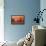 Orange Sky-Carol Strock Wasson-Framed Stretched Canvas displayed on a wall
