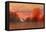 Orange Sky-Carol Strock Wasson-Framed Stretched Canvas