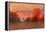 Orange Sky-Carol Strock Wasson-Framed Stretched Canvas