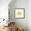 Orange Slice 3-Allen Kimberly-Framed Art Print displayed on a wall