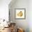 Orange Slice 4-Allen Kimberly-Framed Art Print displayed on a wall