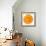 Orange Slice-Steve Gadomski-Framed Photographic Print displayed on a wall