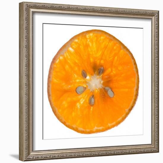 Orange Slice-Steve Gadomski-Framed Photographic Print