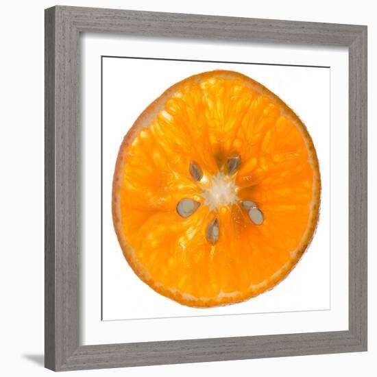 Orange Slice-Steve Gadomski-Framed Photographic Print