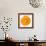 Orange Slice-Steve Gadomski-Framed Photographic Print displayed on a wall