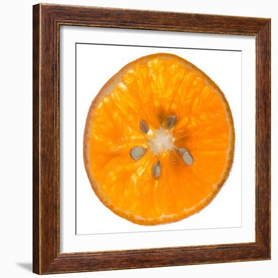 Orange Slice-Steve Gadomski-Framed Photographic Print