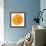 Orange Slice-Steve Gadomski-Framed Photographic Print displayed on a wall