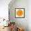 Orange Slice-Steve Gadomski-Framed Photographic Print displayed on a wall