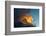 Orange Streak of Light Pierces Dramatic Cloud Formation-Sheila Haddad-Framed Photographic Print