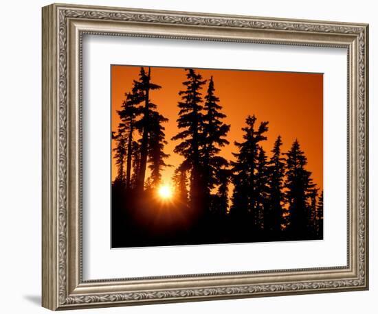 Orange Sunset in the Wilderness Around Mt. Jefferson, Oregon Cascades, USA-Janis Miglavs-Framed Photographic Print