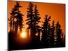 Orange Sunset in the Wilderness Around Mt. Jefferson, Oregon Cascades, USA-Janis Miglavs-Mounted Photographic Print