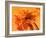 Orange Sword-Ruth Palmer 3-Framed Art Print