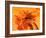 Orange Sword-Ruth Palmer 3-Framed Art Print