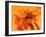 Orange Sword-Ruth Palmer 3-Framed Art Print