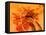 Orange Sword-Ruth Palmer 3-Framed Stretched Canvas