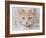 Orange Tabby Cat Portrait-Jai Johnson-Framed Giclee Print