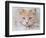 Orange Tabby Cat Portrait-Jai Johnson-Framed Giclee Print