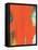 Orange Tide-Jan Weiss-Framed Stretched Canvas