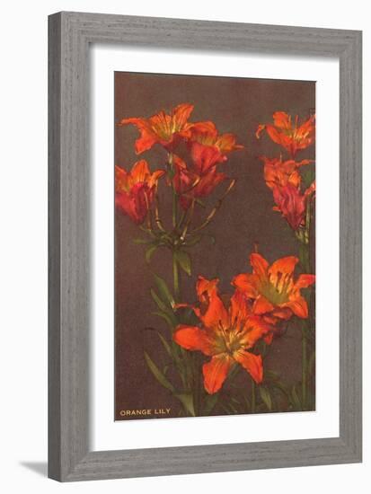 Orange Tiger Lilies-null-Framed Art Print