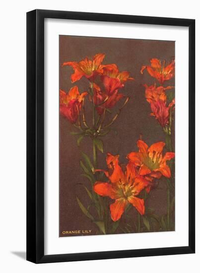 Orange Tiger Lilies-null-Framed Art Print