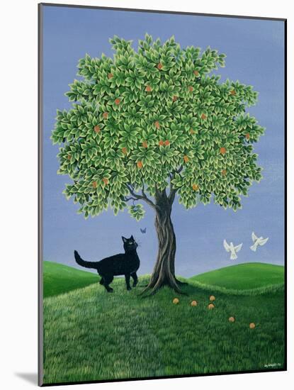 Orange Tree and Cat, 1981-Liz Wright-Mounted Giclee Print