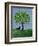 Orange Tree and Cat, 1981-Liz Wright-Framed Giclee Print