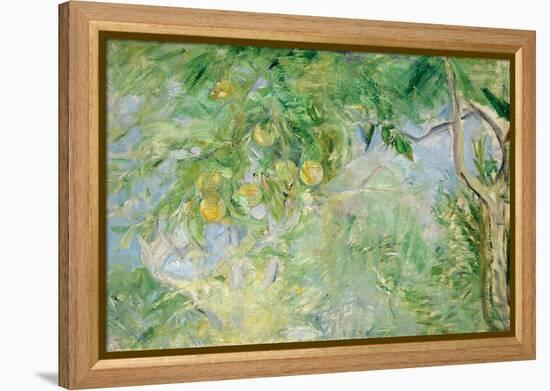 Orange Tree Branches, 1889-Berthe Morisot-Framed Premier Image Canvas