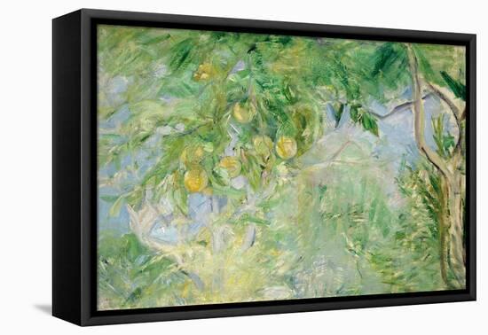 Orange Tree Branches, 1889-Berthe Morisot-Framed Premier Image Canvas