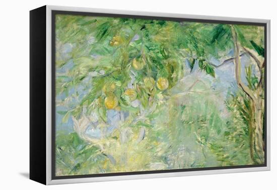 Orange Tree Branches, 1889-Berthe Morisot-Framed Premier Image Canvas