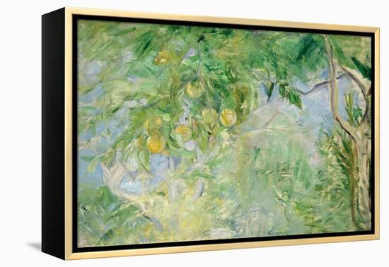 Orange Tree Branches, 1889-Berthe Morisot-Framed Premier Image Canvas