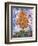 Orange Tree II-Joseph Marshal Foster-Framed Art Print