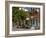 Orange Tree in a Little Village in the Lakonian Mani, Peloponnese, Greece, Europe-null-Framed Photographic Print