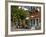 Orange Tree in a Little Village in the Lakonian Mani, Peloponnese, Greece, Europe-null-Framed Photographic Print